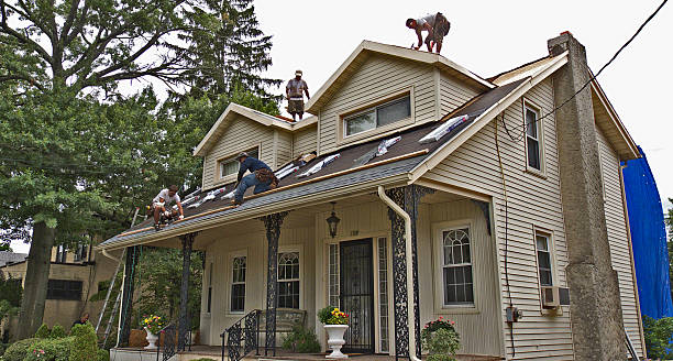 Best Storm Damage Roof Repair  in Window Rock, AZ